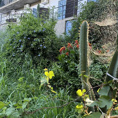 Sea Breeze * 帕莱欧卡斯提撒